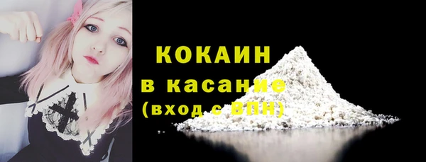 сатива Сосновоборск