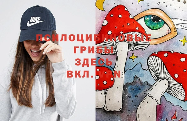 таблы Верхний Тагил